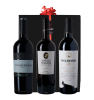 Relatiegeschenk K72 | Luxe doos 3 flessen 'E Viva Espana'